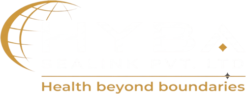hyba sealink logo 500